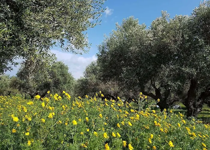 Petrochori Memories House- Floor 1